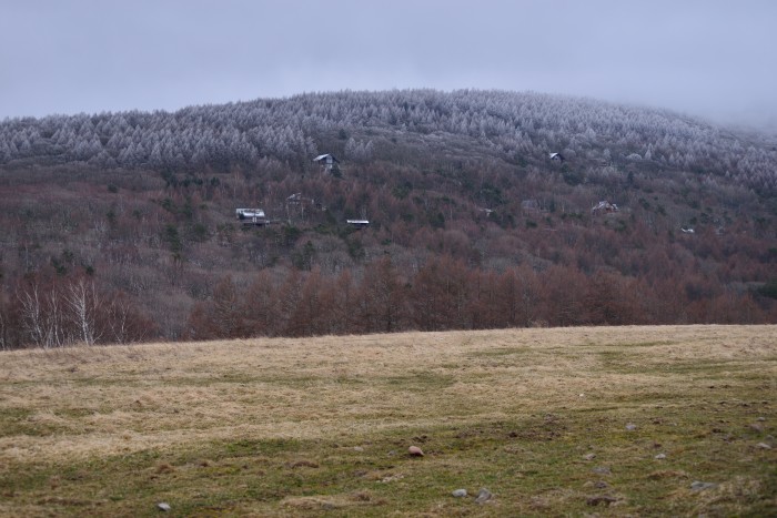 d0341880_20162628.jpg