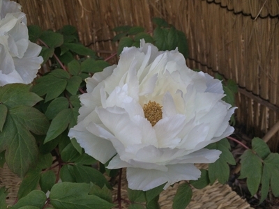 e0271890_14515728.jpg