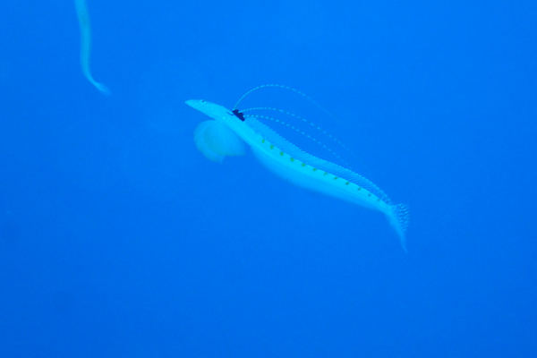 f0121701_22512849.jpg