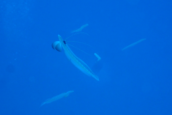 f0121701_22514558.jpg