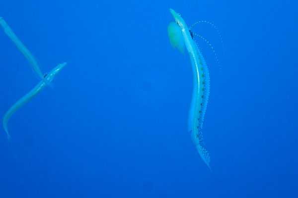 f0121701_22515859.jpg