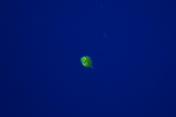 f0121701_2255392.jpg