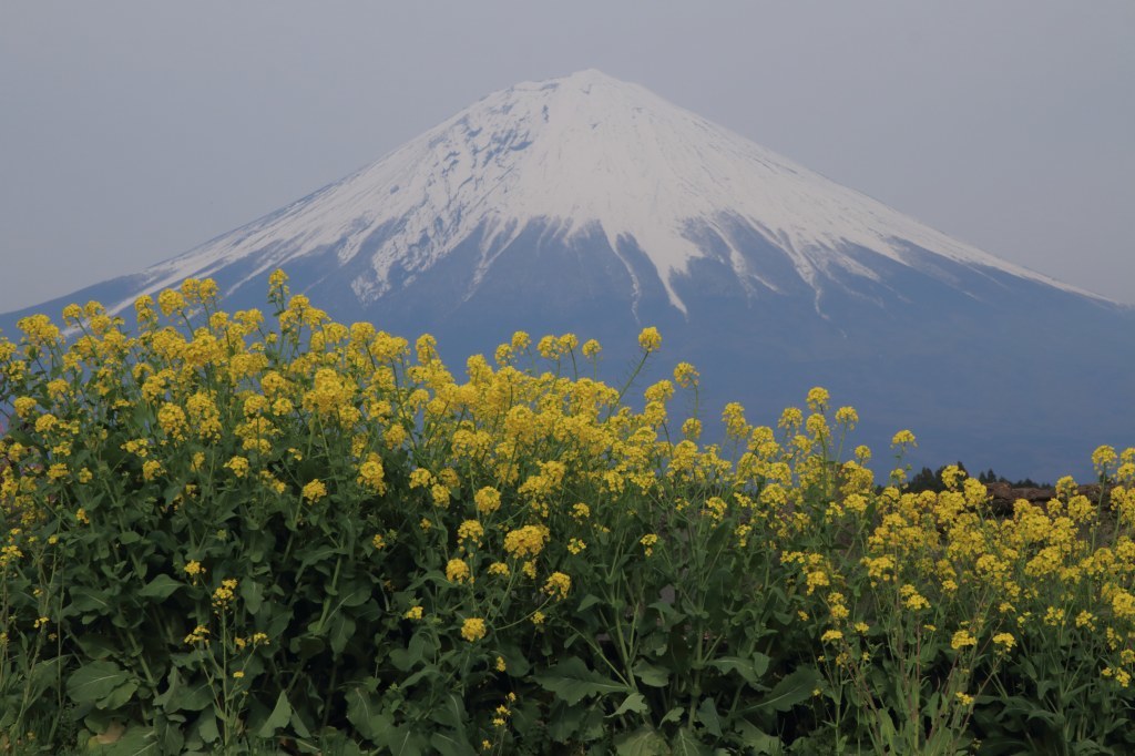 a0188405_23472933.jpg