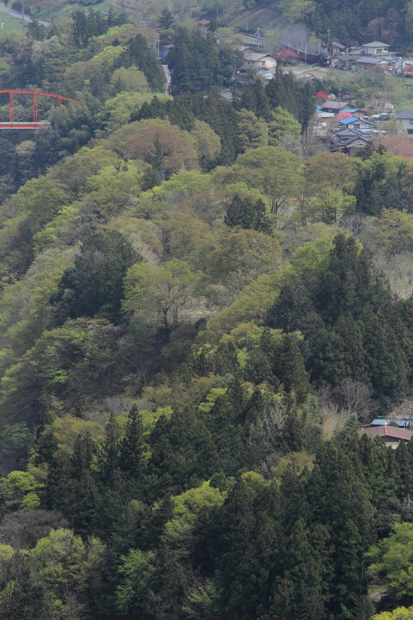 b0190710_754387.jpg