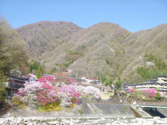 d0170615_21311631.jpg