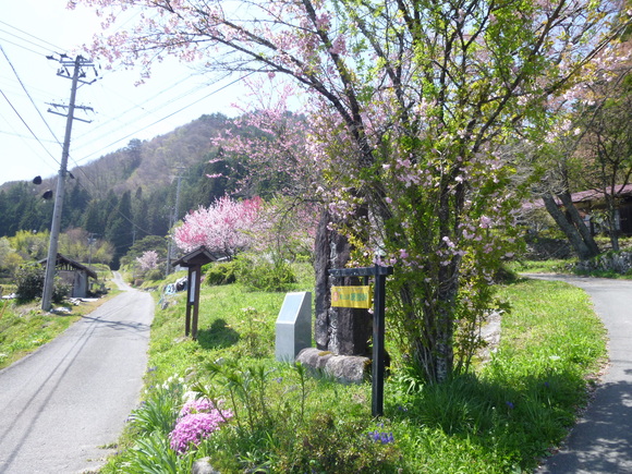 d0170615_2132392.jpg