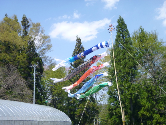 d0170615_21373570.jpg