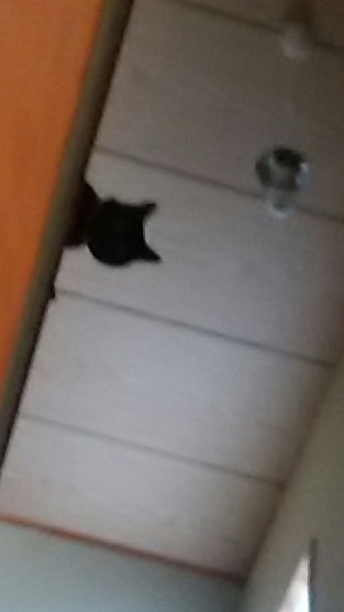 c0280322_17074616.jpg