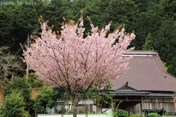 d0283427_20403210.jpg