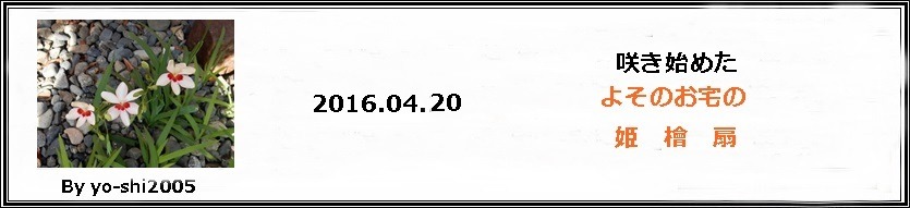 e0033229_18121070.jpg