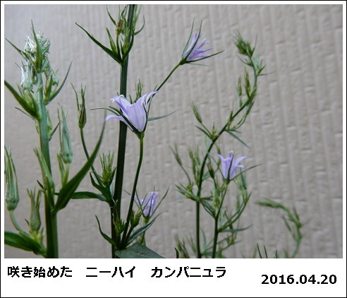 e0033229_18213038.jpg
