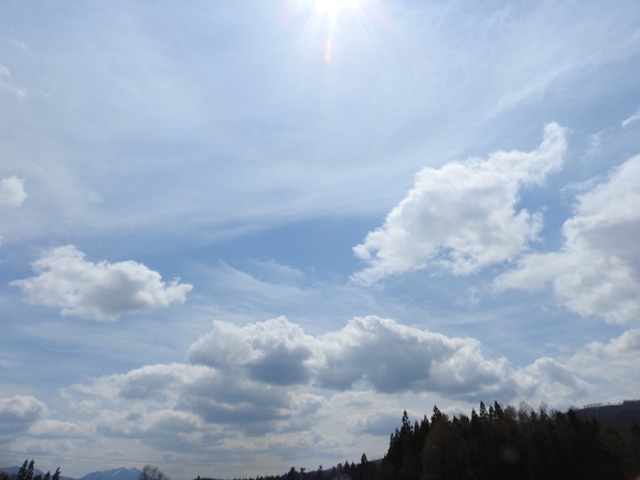 f0118332_21365264.jpg