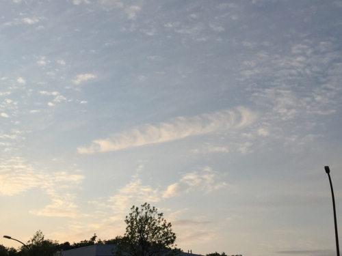 a0343740_23565226.jpg
