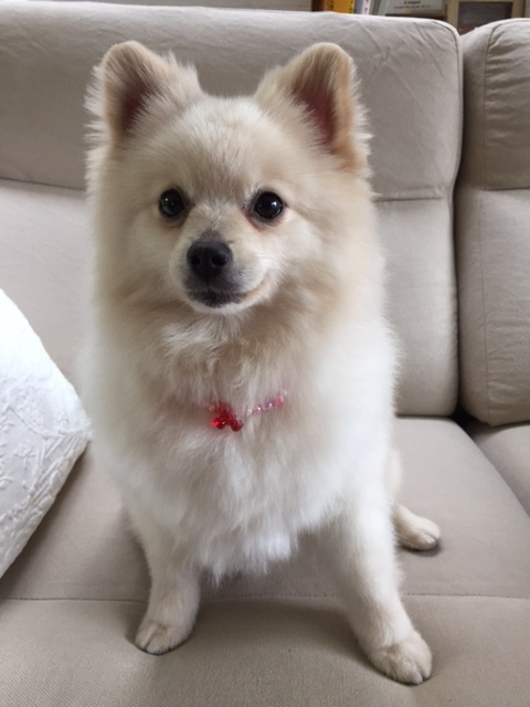 c0342841_21274478.jpg