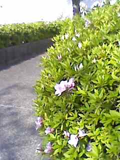 e0150843_228384.jpg