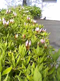 e0150843_2283863.jpg