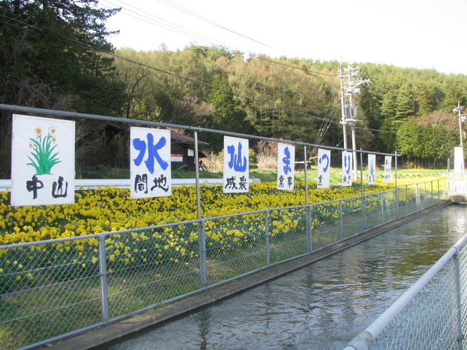 f0151044_20462199.jpg