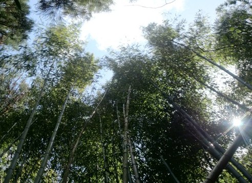 b0148050_2140510.jpg