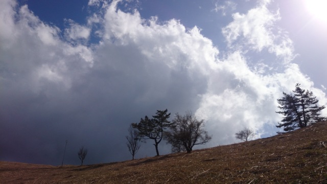 b0148050_21434324.jpg