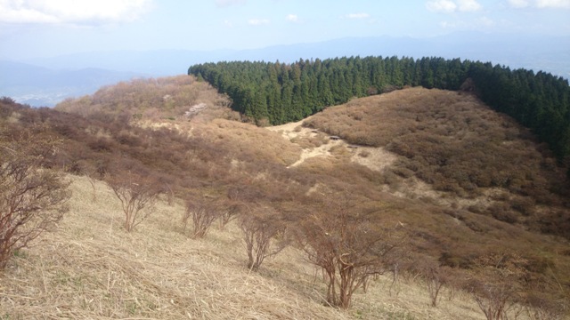 b0148050_21463788.jpg