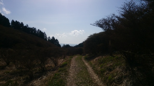 b0148050_21473561.jpg