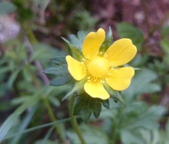 b0148050_2150590.jpg