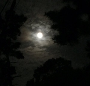 f0221360_2154825.jpg