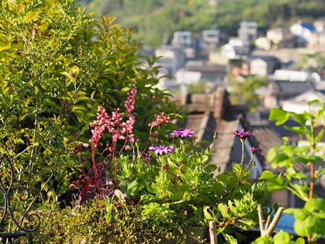 e0264374_16522085.jpg