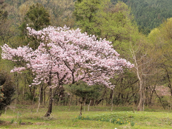 a0347276_12442981.jpg