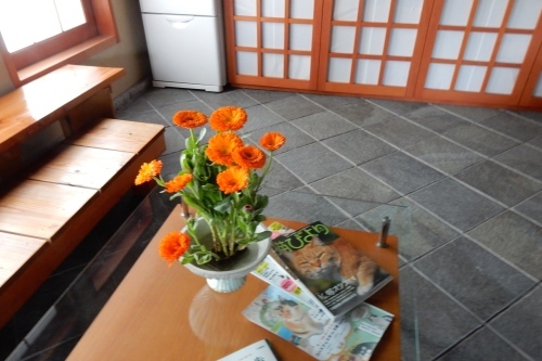 f0054677_07221319.jpg