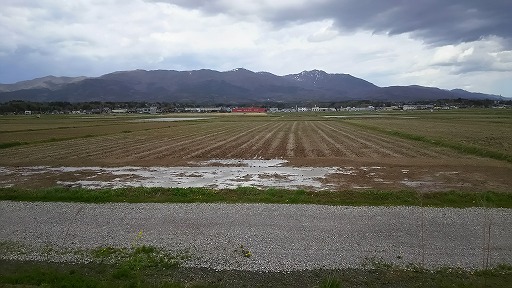 e0020682_2126593.jpg