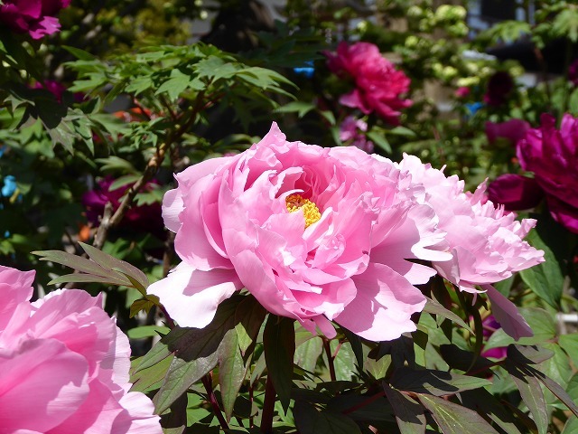 b0287088_20451403.jpg