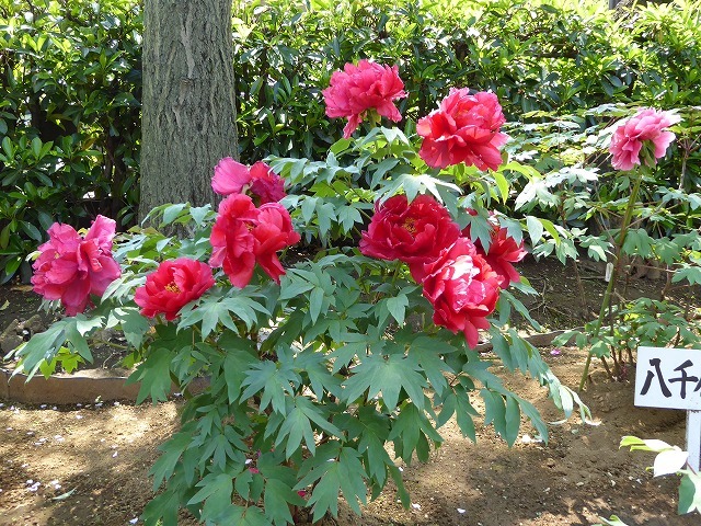 b0287088_20475155.jpg