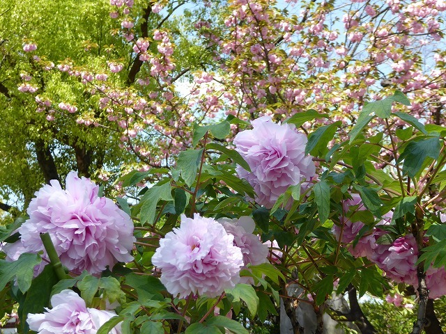 b0287088_20481431.jpg
