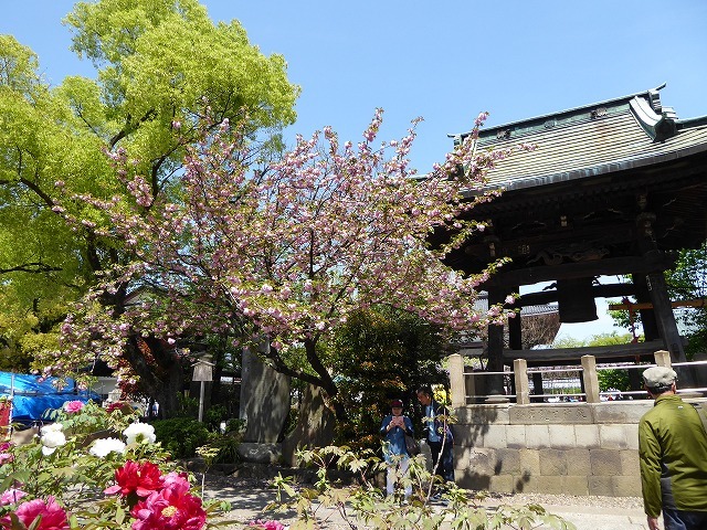 b0287088_20485602.jpg