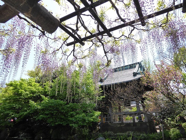 b0287088_20541543.jpg
