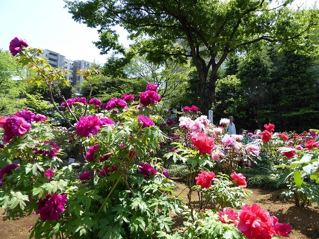 b0287088_21075949.jpg