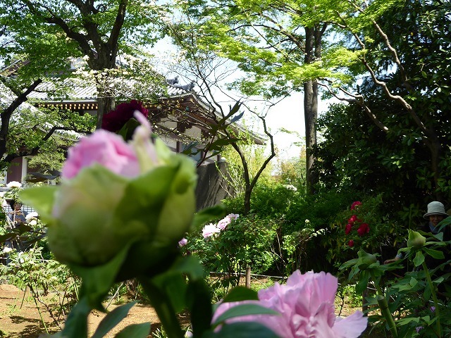 b0287088_21095015.jpg