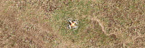 c0170789_21555265.jpg