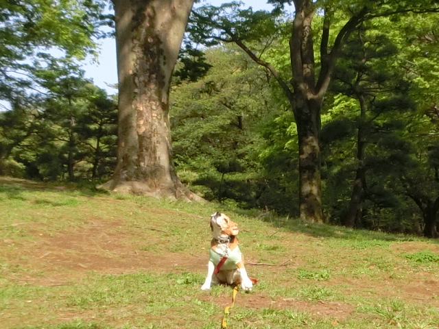 a0319693_8373963.jpg