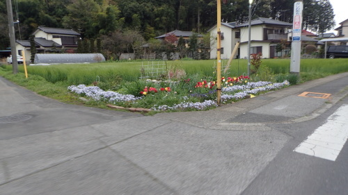 a0338094_00482618.jpg