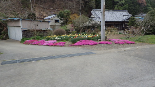 a0338094_01043904.jpg