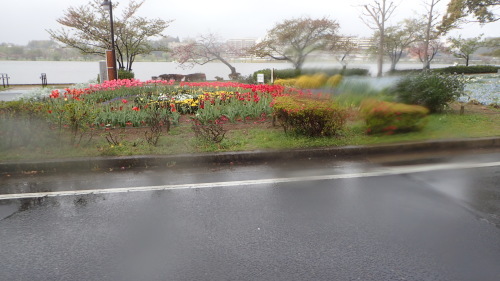 a0338094_01341402.jpg