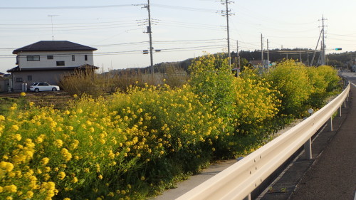 a0338094_01555978.jpg