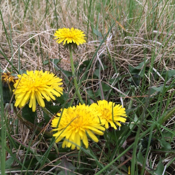 d0239796_23412871.jpeg
