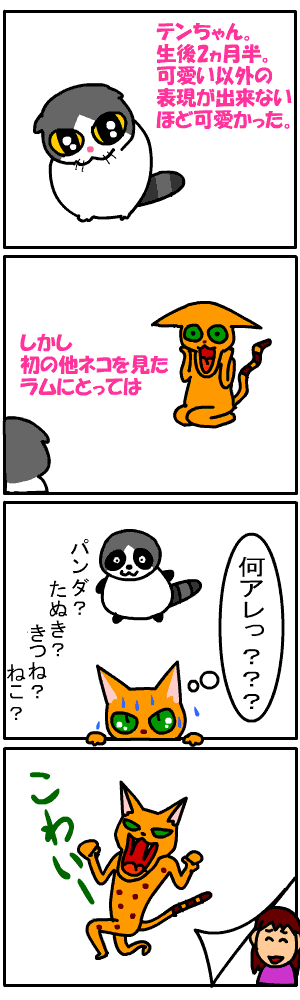 c0011300_22592121.gif