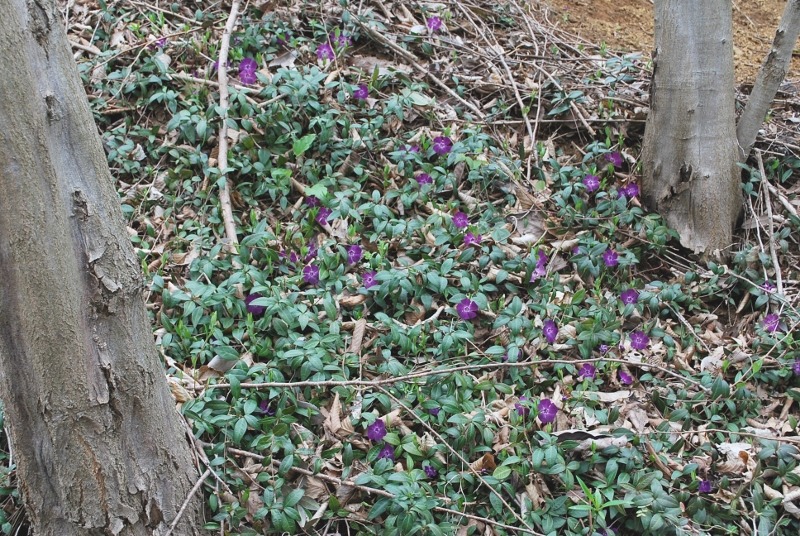e0025300_1523896.jpg