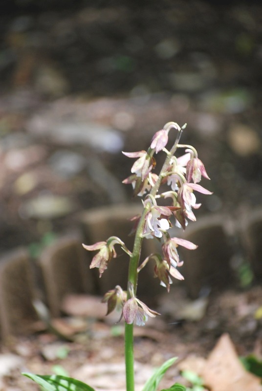 e0025300_2033449.jpg