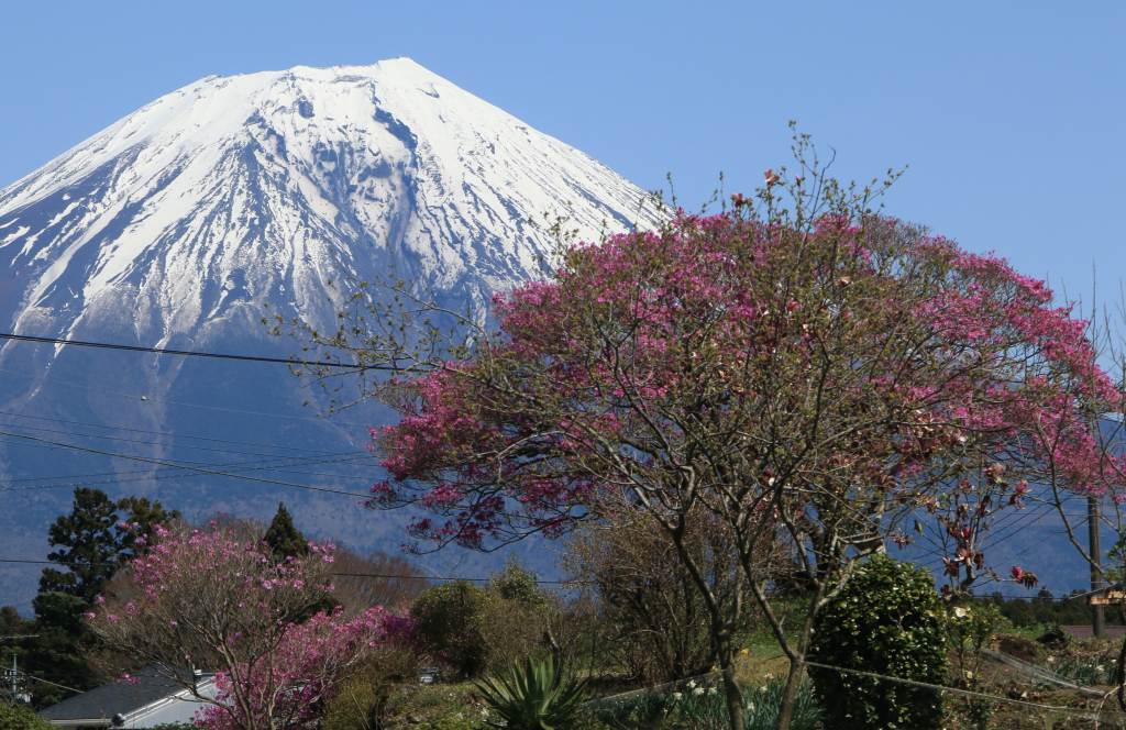 a0188405_00461832.jpg