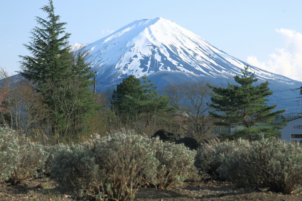 a0188405_21125967.jpg